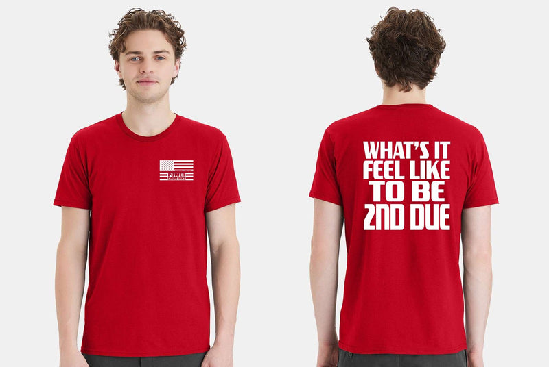 Firefighter Tshirt What's it feel like to be 2nd due Firefighter Short Sleeve