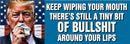 ANTI TRUMP Bumper Sticker or Magnet Pair of WIPING MY MOUTH BS Anti Trump Decals
