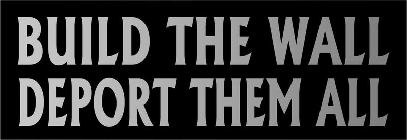 ANTI TRUMP Bumper Sticker or Magnet BUILD THE WALL Decal Buy one get one free