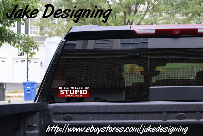 The Real Pandemic is how Stupid Everyone is Bumper Sticker 8.7" x 3"