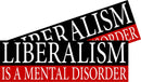 Liberalism is a Mental Disorder Conservative 2 Funny Bumper Stickers 8.8" X 3"